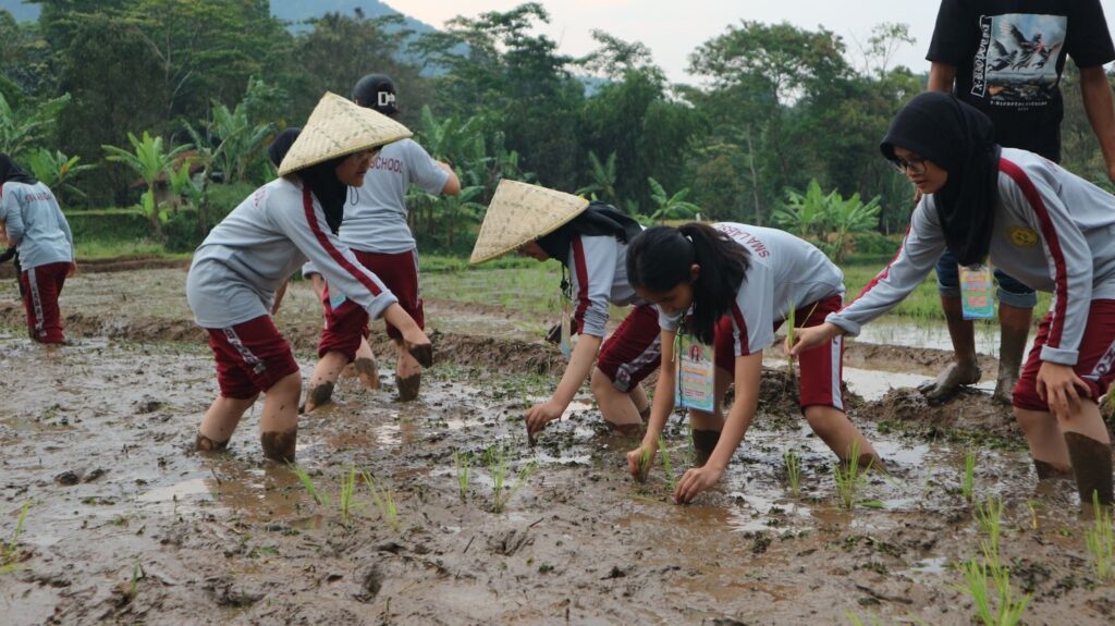 Siswa SMA Labschool Cibubur, peduli kehidupan desa, di desa Cipancar, peduli terhadap kelestarian alam dan sosial desa, sekolah karakter